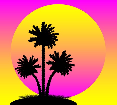 Illustration of a silhouette of a palm trees at sunsetのイラスト素材