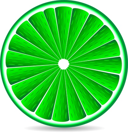 A cross sectional slice of a lime fruit isolated on whiteのイラスト素材