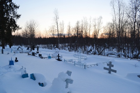 The photo of trees and evening sunのeditorial素材