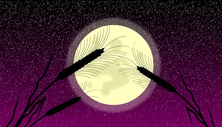 Ears of wheat at moonlit night - vectorのイラスト素材