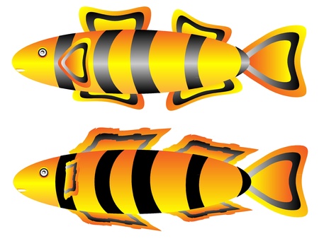 Tropical fish set isolated on white backgroundのイラスト素材