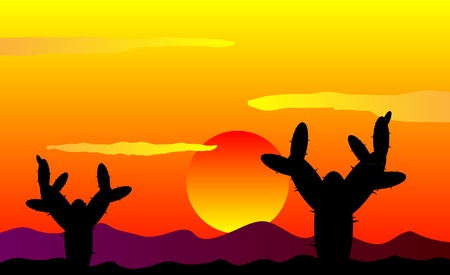 Mexico desert sunset with cactus plants - vector illustrationのイラスト素材