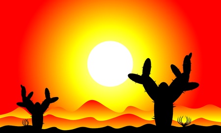 Mexico desert sunset with cactus plants - vector illustrationのイラスト素材