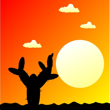 Mexico desert sunset with cactus plants - vector illustrationのイラスト素材