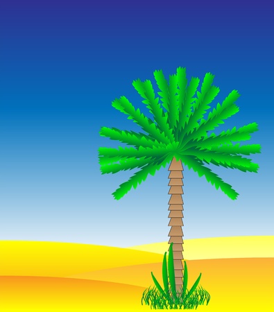 Palm in the desert - vector illustration.のイラスト素材