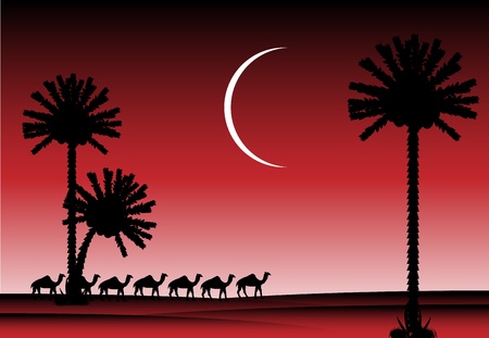 Night in desert with silhouettes of palms and camelsのイラスト素材