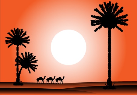 Sunset in desert with silhouettes of palms and camelsのイラスト素材