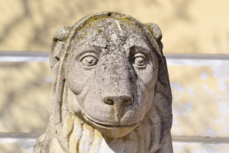 Lion sculpture in Pavlovsk park, St.Petersburg, Russiaのeditorial素材