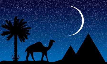 Night in Egypt with palms, pyramids and camelのイラスト素材