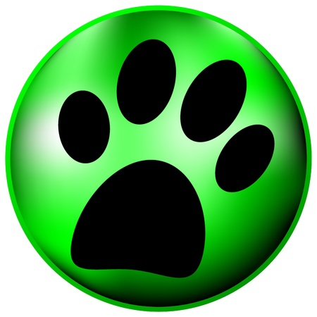 Paw button on white backgroundのイラスト素材