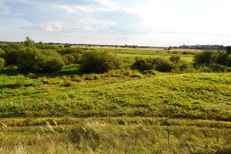 Summer landscape near Stolin, Belarus