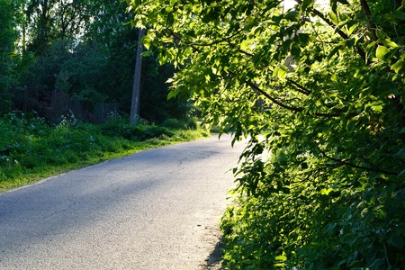 Rural asphalt road on a sunny summer day