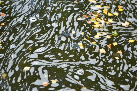 Water background with yellow leafs.