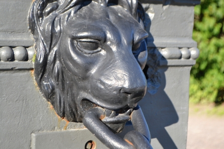 Photography of a beautiful lion head in Tallinn, Estonia.の写真素材