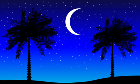 Landscape with palm trees at night - vector illustration.のイラスト素材