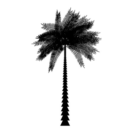 Palm icon on white background.のイラスト素材
