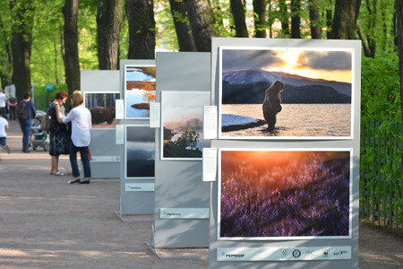 St.Petersburg, Russia - May 19, 2014: Photo exhibition dedicated to wildlife in Summer Garden in Petersburg.のeditorial素材