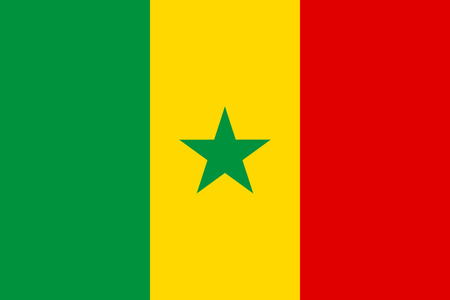 Flag of Senegal. Vector illustration.のイラスト素材