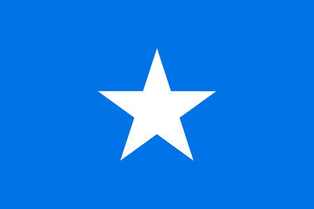 Flag of Somalia. Vector illustration.のイラスト素材