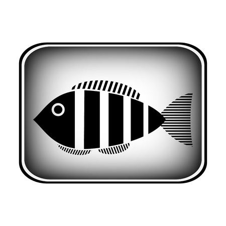 Fish button on white backgroundの写真素材