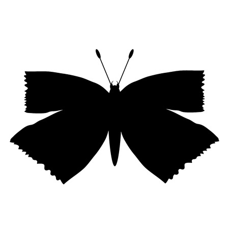 Butterfly icon on white background. Vector illustration.のイラスト素材