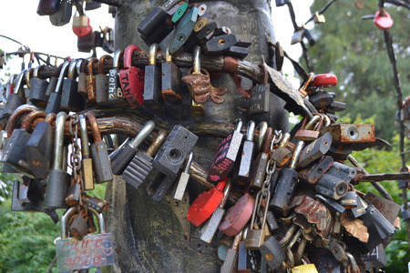 ST.PETERSBURG, RUSSIA - SEPTEMBER 8, 2013: Locks of love on the tree of love in Zelenogorsk, outskirts of St. Petersburg.のeditorial素材