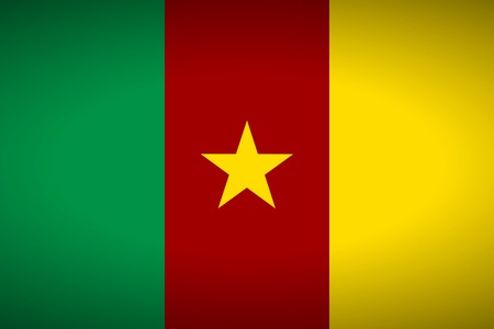 Flag of Cameroon. Vector illustration.のイラスト素材
