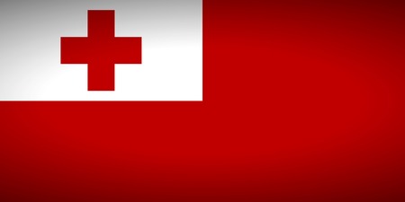 Flag of Tonga. Vector illustration.のイラスト素材