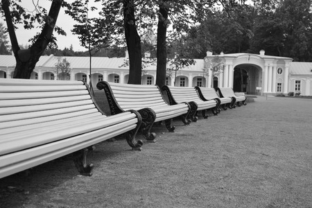 Empty benches in the Oranienbaum Park, outskirts of St. Petersburg, Russia. Black and white.のeditorial素材