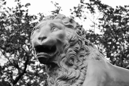 Bronze lion on Admiralty Embankment in St. Petersburg, Russia. Black nad white.の写真素材