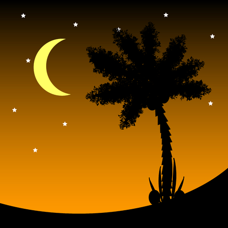 Palm tree at tropic night Vector illustration.のイラスト素材