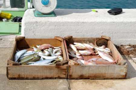 LOUTRAKI, GREECE - 29 MAY, 2015: Trade freshly caught fish on the waterfront in Loutraki, Greece.のeditorial素材