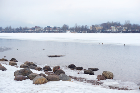 View of Neva River on the outskirts of St. Petersburg at cloud winter day, Russia.の写真素材