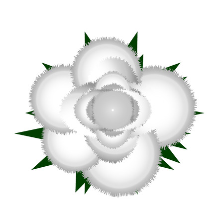 White rose icon on white background. Vector illustration.のイラスト素材
