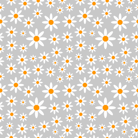 Chamomiles on grey seamless pattern on white background.の写真素材