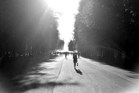 ST.PETERSBURG, RUSSIA - 11 AUGUST 2017: Central Park of Culture and Rest named Kirov at sunny summer day. Black and white.のeditorial素材