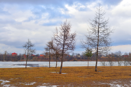Early spring park at cloud day, Russia.の写真素材