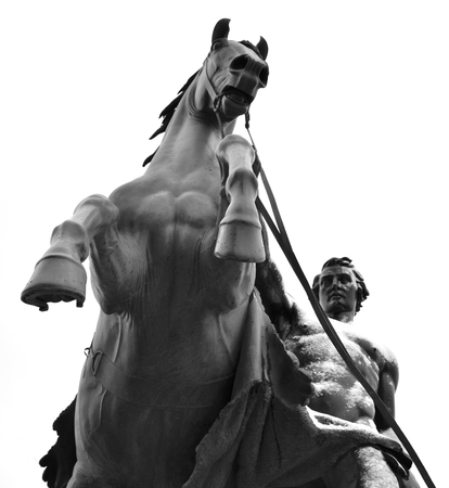 Statue of the conquest of a horse on the Anichkov Bridge in St.Petersburg, Russia. Black and white.の写真素材