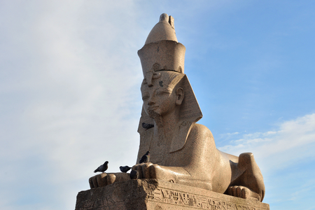 Ancient Egyptian sphinx on the University embankment in St. Petersburg, Russia.の写真素材