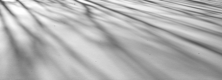 Snow background with shadows at sunny day. Black and white.
