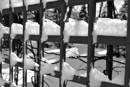 Fence with snow closeup in Summer Garden in St.Petersburg, Russia. Black and white.の写真素材