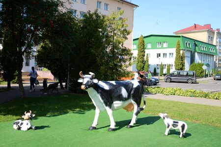 STOLIN, BELARUS - 23 AUGUST 2019: Statue of a calf in the city square at sunny summer day.のeditorial素材