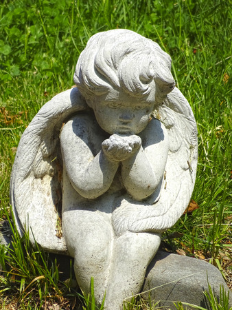 Brooklyn parkの写真素材