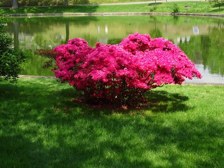 Brooklyn parkの写真素材