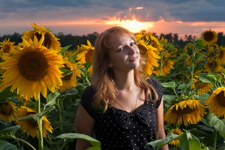 Girl in sunflowersの写真素材