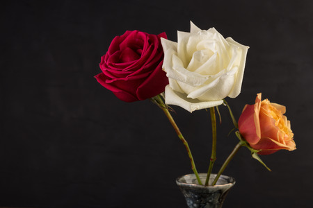Three roses closeup image in small marble vase on black backgroundの写真素材