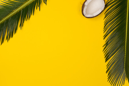 coconut and palm leaves isolated on yellow background, top viewの写真素材