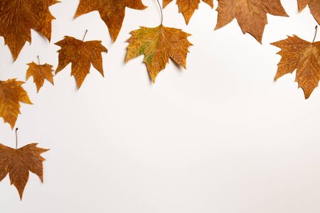 autumn maple leaves frame background with copy space for text
