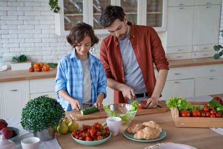 Preparing lunch together. Young father teaching his son how to cut fresh vegetables, preparing salad while standing in the modern kitchen at homeの写真素材
