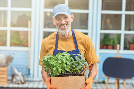 Middle aged caucasian businessman with growing spicy herbsの写真素材